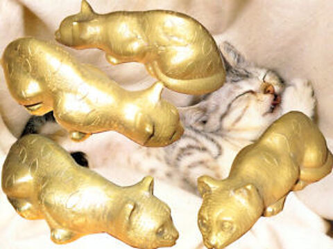 Magnifique dcoration CHAT en LAITON MASSIF 1,400 kg NEUF 40 Bourseul (22)