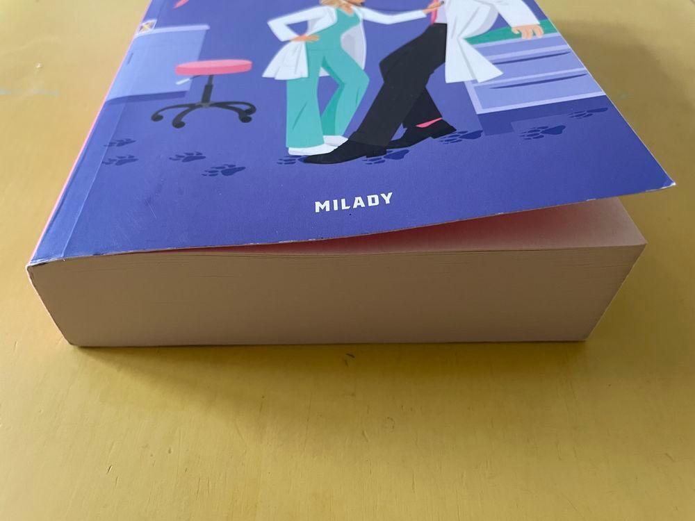 Livre The Fake Mate - Lana Ferguson Livres et BD