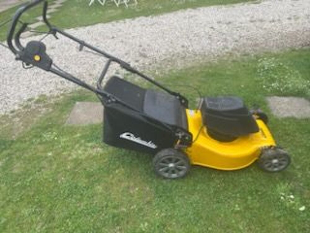 Tondeuse electrique Jardin