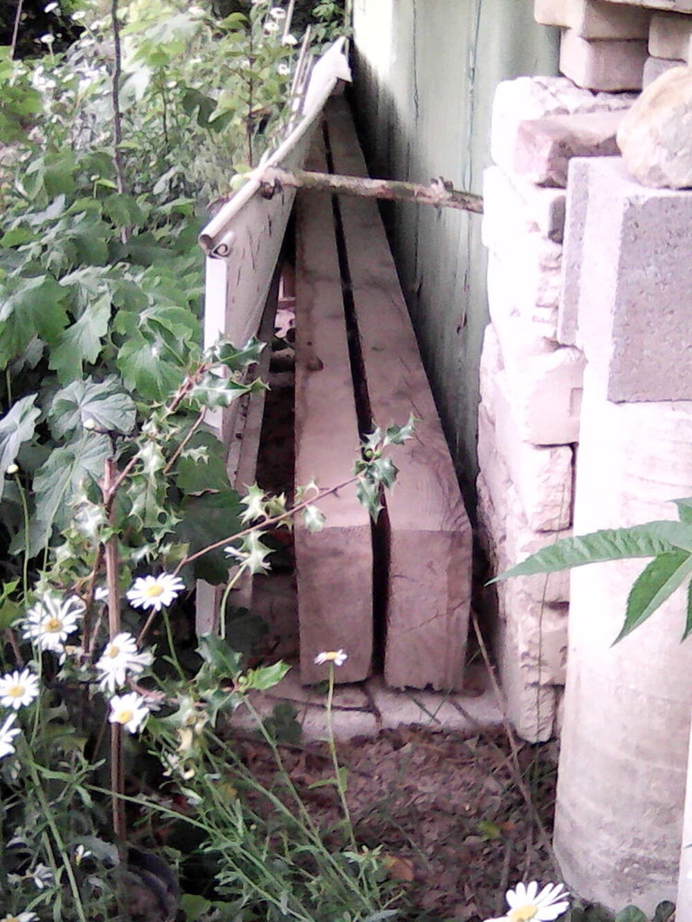 2 poutres bois 24 cm x 10 cm . une de 3m et une de 3m25 Bricolage