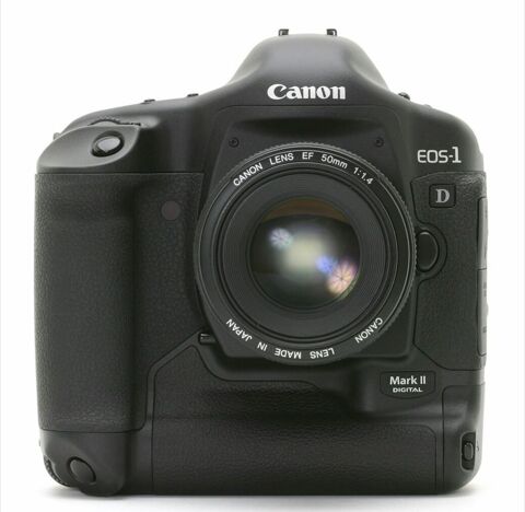 CANON EOS 1D MKII 320 Meudon (92)