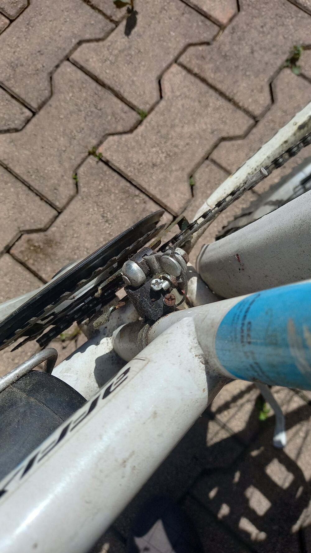 Un v&eacute;lo pour les balades en famille. Vélos