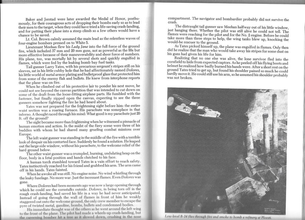 Into the Guns of Ploesti - Leroy W. Newby Livres et BD