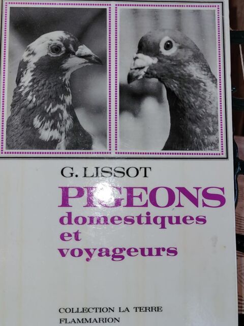Livre Pigeons Voyageurs 8 Haillicourt (62)