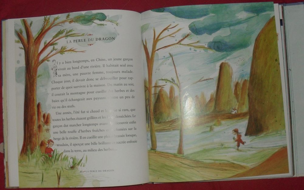CONTES DU MONDE, MON PREMIER LAROUSSE Livres et BD