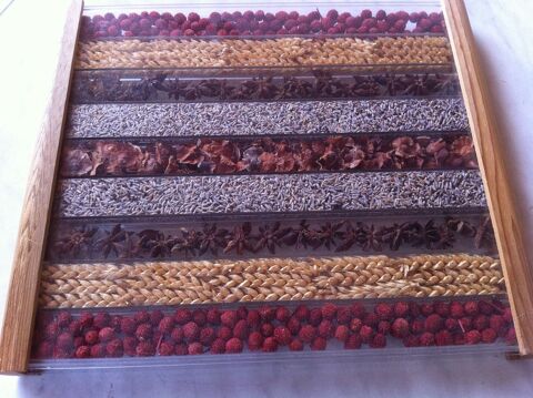  Dessous plat : les gramin�es (7038) 15 Saint-Vallier (71)