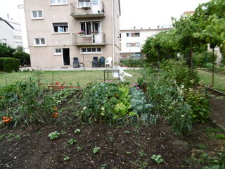  Appartement à louer 3 pièces 80 m²
