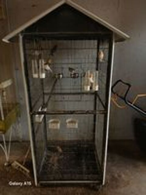   Cède Cages elev.Volières. rack d elevage et ses accessoires. 