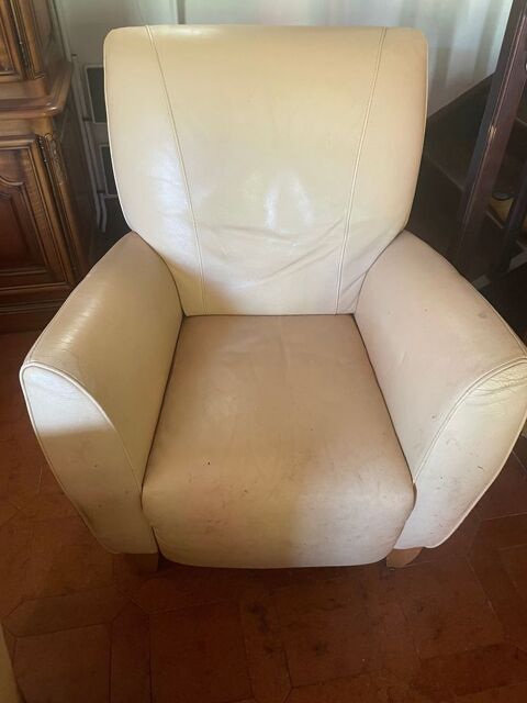 Paire de fauteuils Nautuzzi relaxant cuir 80 Cornus (12)