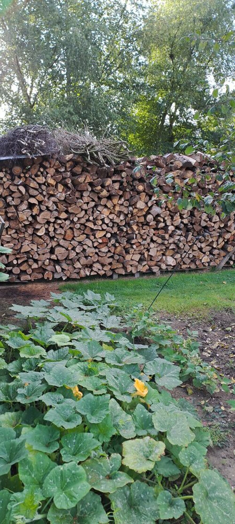 bois de chauffage Bricolage