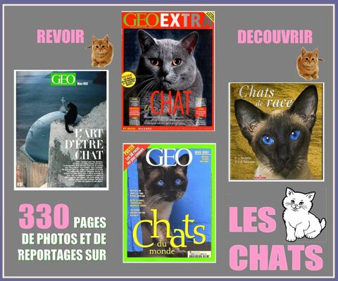 LES CHATS - go - FRANCE et MONDE 18 Corbeny (02)