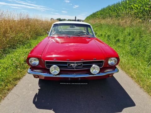 Ford Mustang 289ci V8 1965 occasion Auchy-lez-Orchies 59310