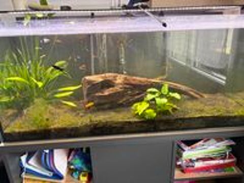   aquarium Zolux idromax 230 