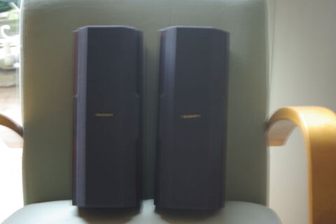 Paire enceinte TECHNISC SB-AFC 250 120 Fontenay-le-Fleury (78)