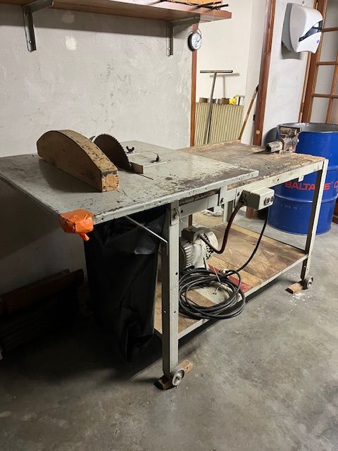 Scie circulaire mont�e sur �tablie 250 Chazay-d'Azergues (69)