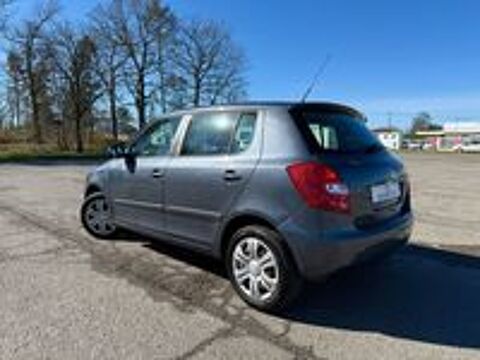 Fabia 1.2 12V 60 Pep's 2011 occasion 65800 Aureilhan