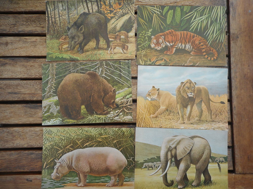 Lot de 9 cartes postales Paul Barruel "Mammif&egrave;res" 