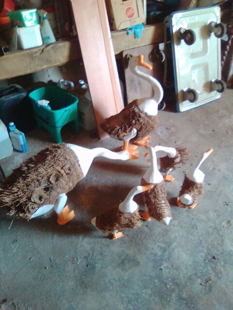 famille d'oie en racines de palmiers 200 Maurens (31)