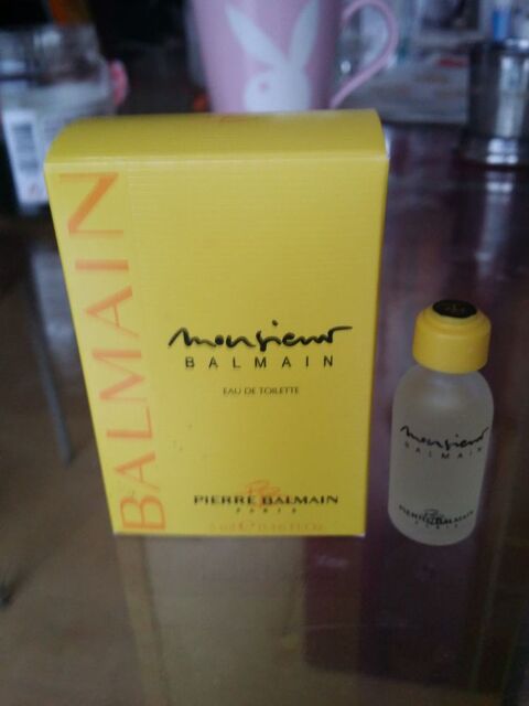 Miniature de parfum 5 Vannes (56)