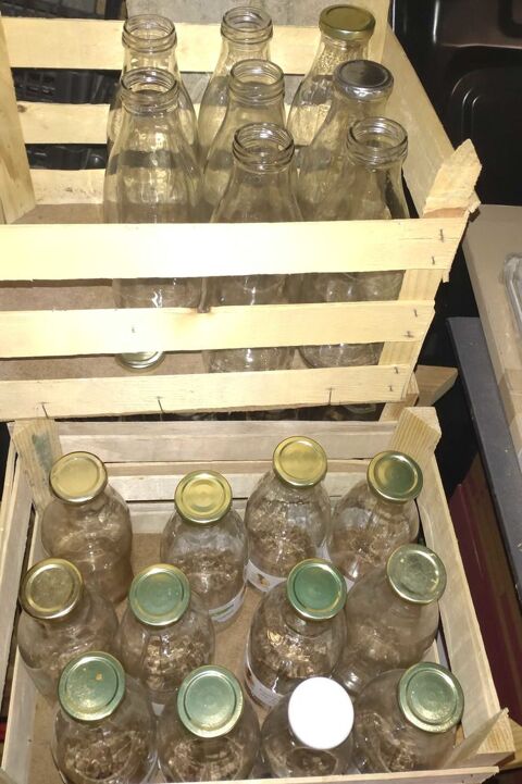 Bouteilles 1 litre en verre 20 Pierre-la-Treiche (54)