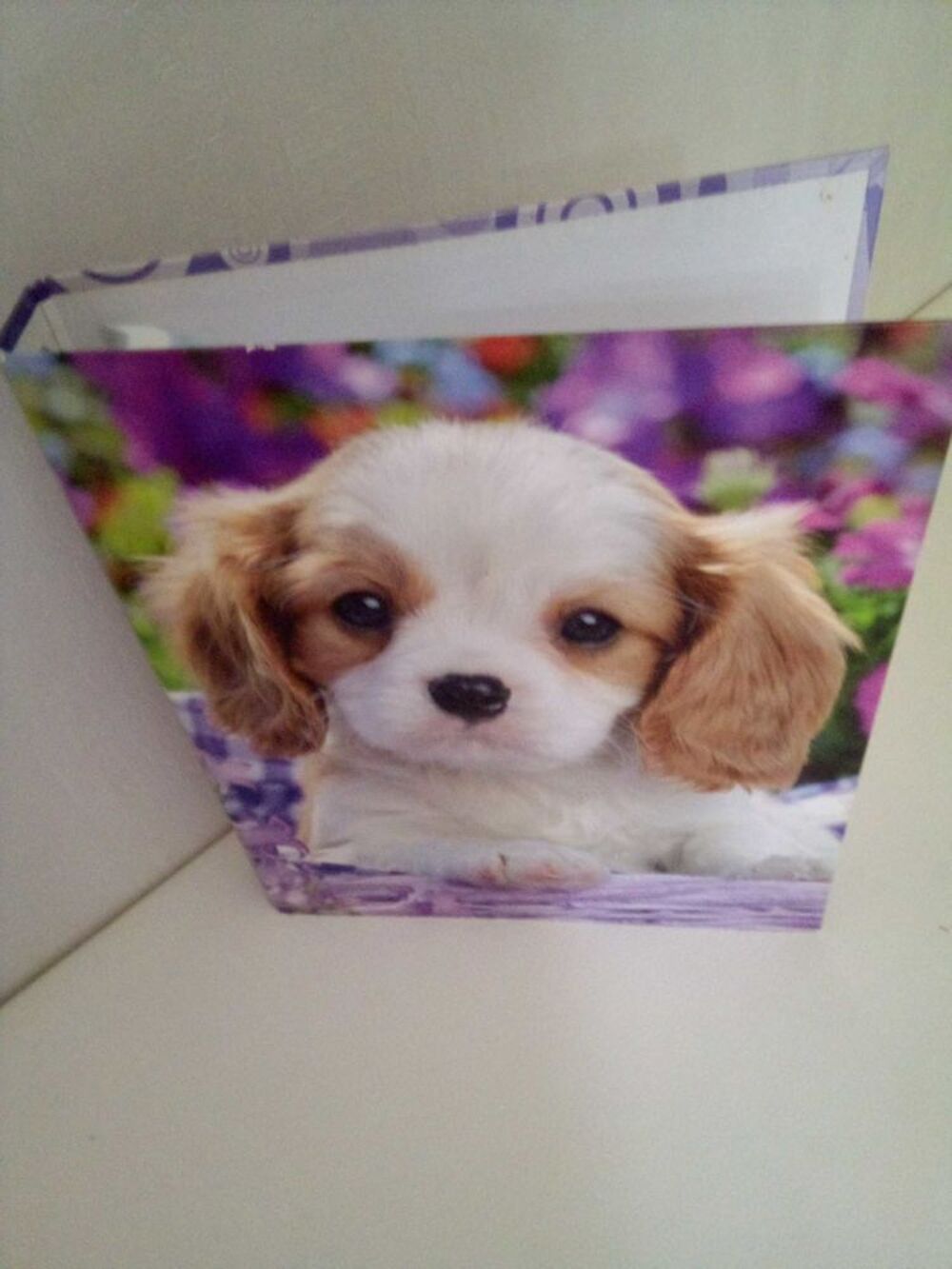 classeur motif chien Puériculture