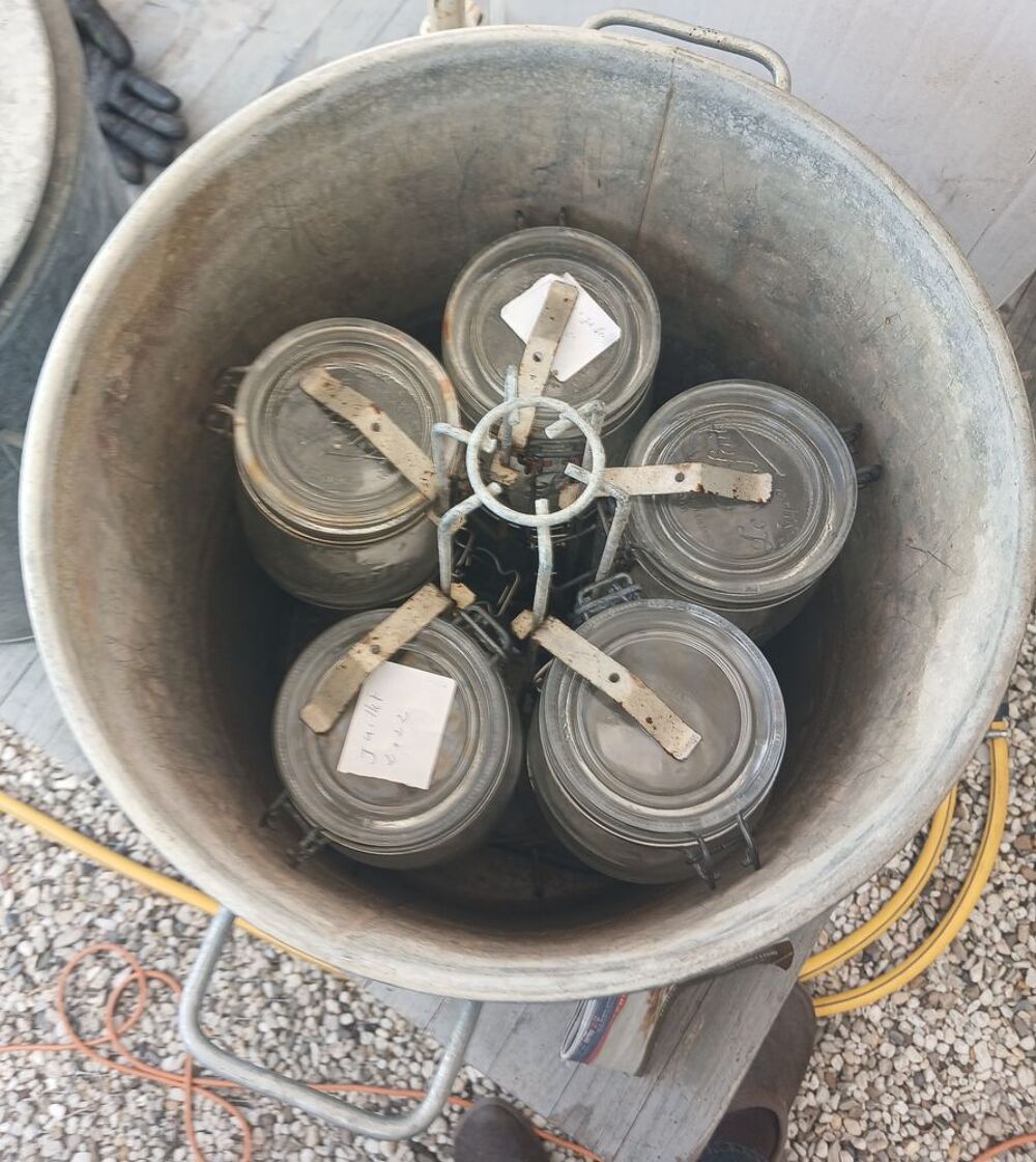 St&eacute;rilisateur &eacute;lectrique pour bocaux Electroménager