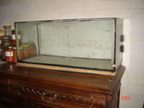   Aquarium 