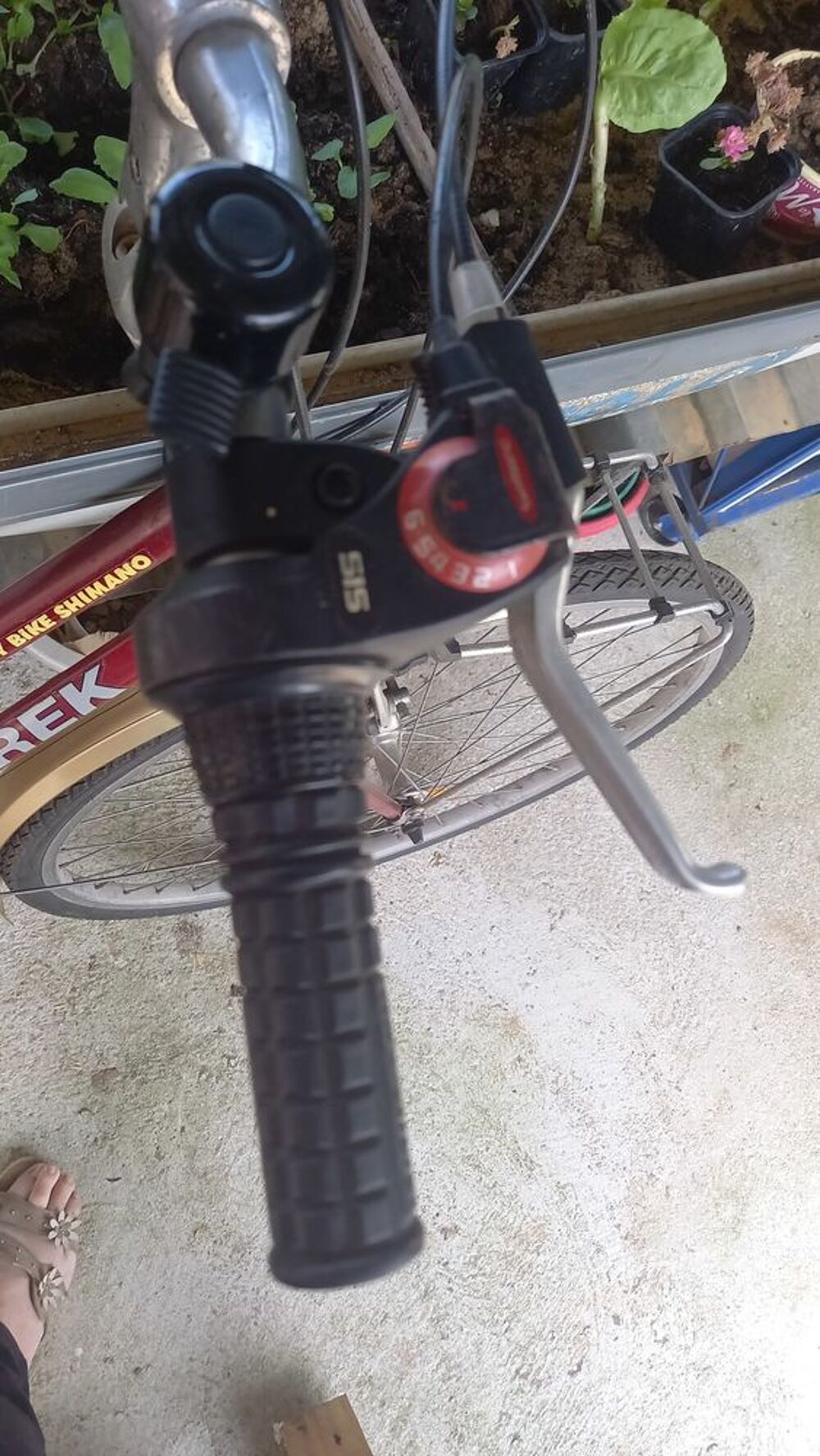 V&eacute;lo Dame Vélos