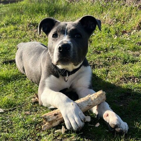 AIKA 280 26100 Romans-sur-is�re