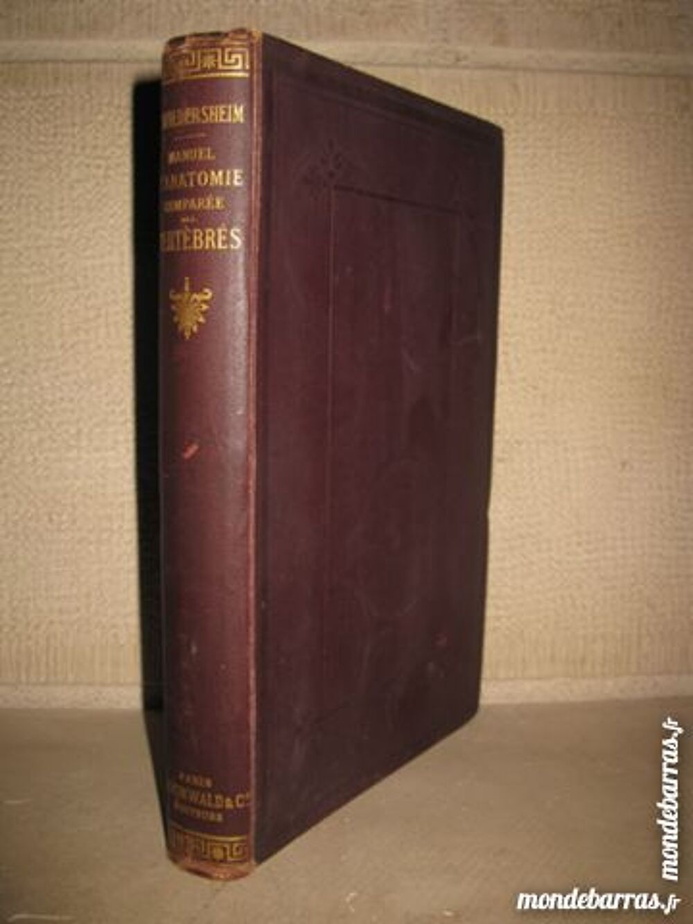 Manuel anatomie compar&eacute;e vert&eacute;br&eacute;s ann&eacute;e 1890 RARE 