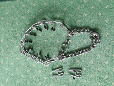 Collier Chien Semi-trangleur 62510 Arques