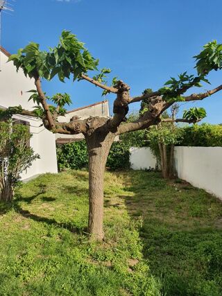  Villa à louer 4 pièces 61 m² Montpellier