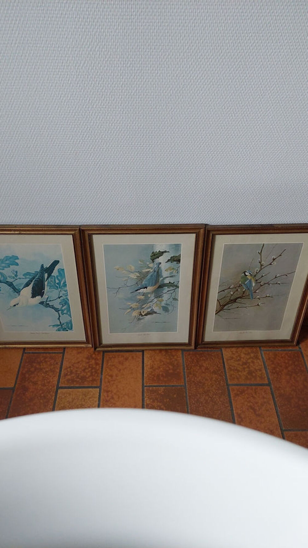 Tableau oiseaux Décoration