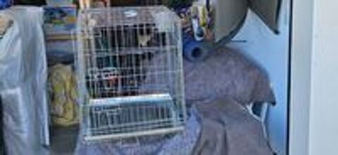   Cage de transport pour chien pliante  