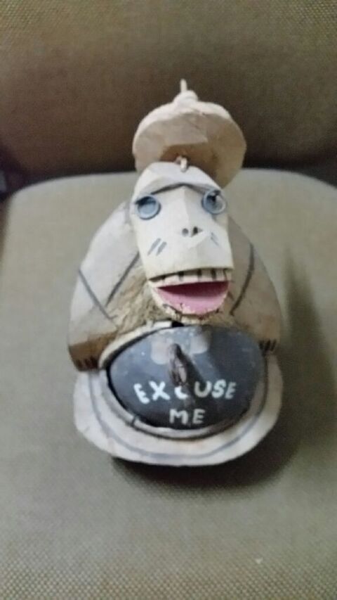 noix coco taill�e 10 Viviers-du-Lac (73)