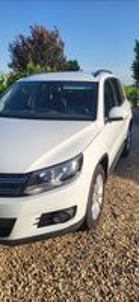 Tiguan 2.0 TDI 110 FAP BlueMotion Technology 2014 occasion 33350 Doulezon