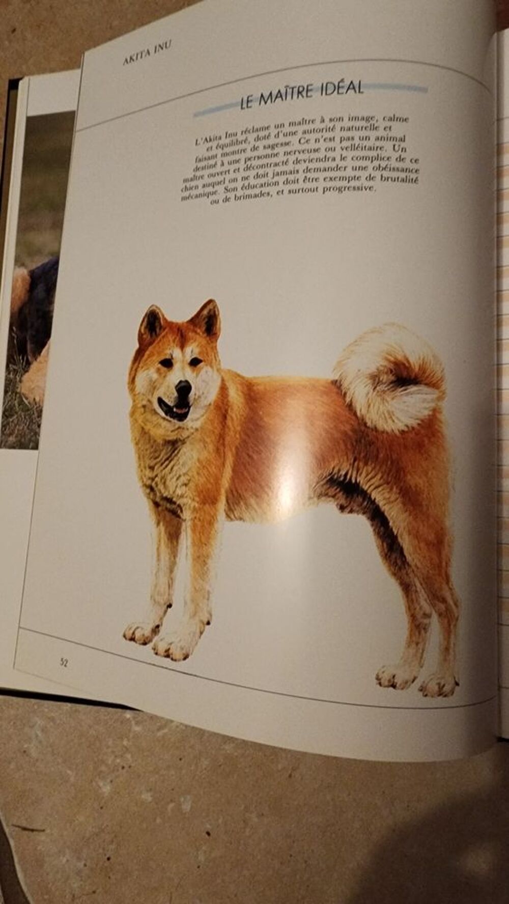 Collection Atlas Mon Compagnon le Chien Livres et BD