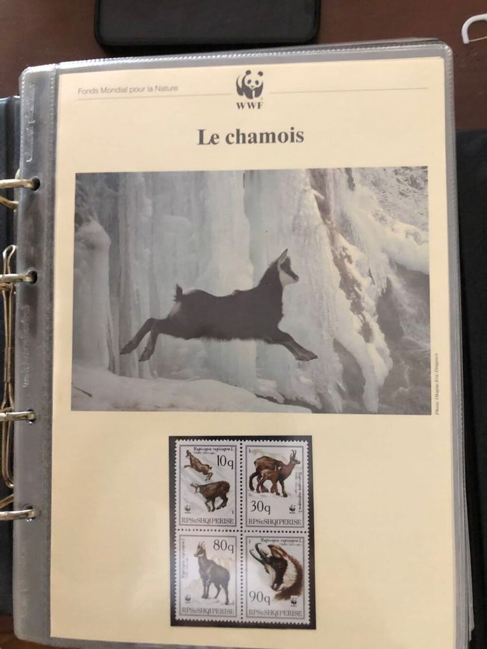 timbres de collection 