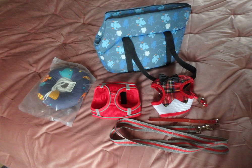      Sac pour petits chiens, chiots, harnais, collier, laisse 