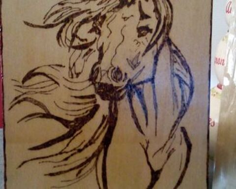 PYROGRAVURE SUR BOIS FAITE MAIN 8 Saint-Di�-des-Vosges (88)