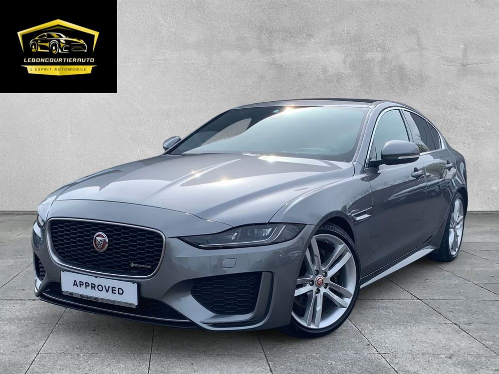 XE D180 BVA R-Dynamic SE 2019 occasion 38440 Saint-Jean-de-Bournay