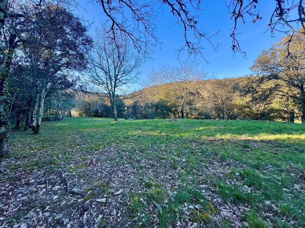 Vente Terrain Superbe terrain arboré de 4 963 m² Monoblet