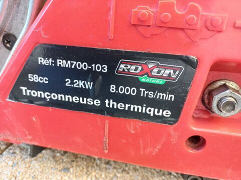 trononneuse thermique 65 Saintes (17)