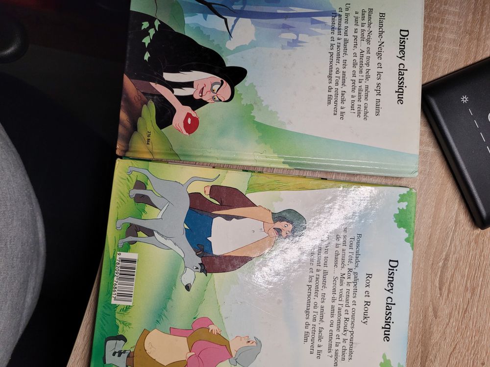 2 livres Disney Classique Livres et BD