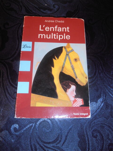 L'enfant multiple (29) 1 Tours (37)