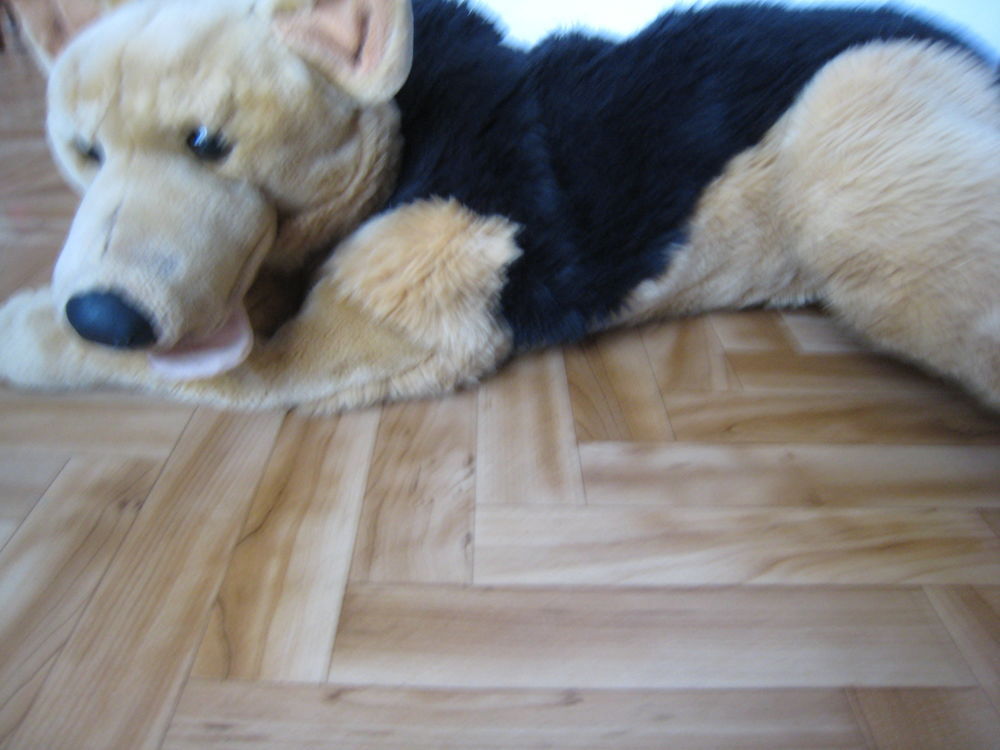 Peluche chien - (NH78) Jeux / jouets