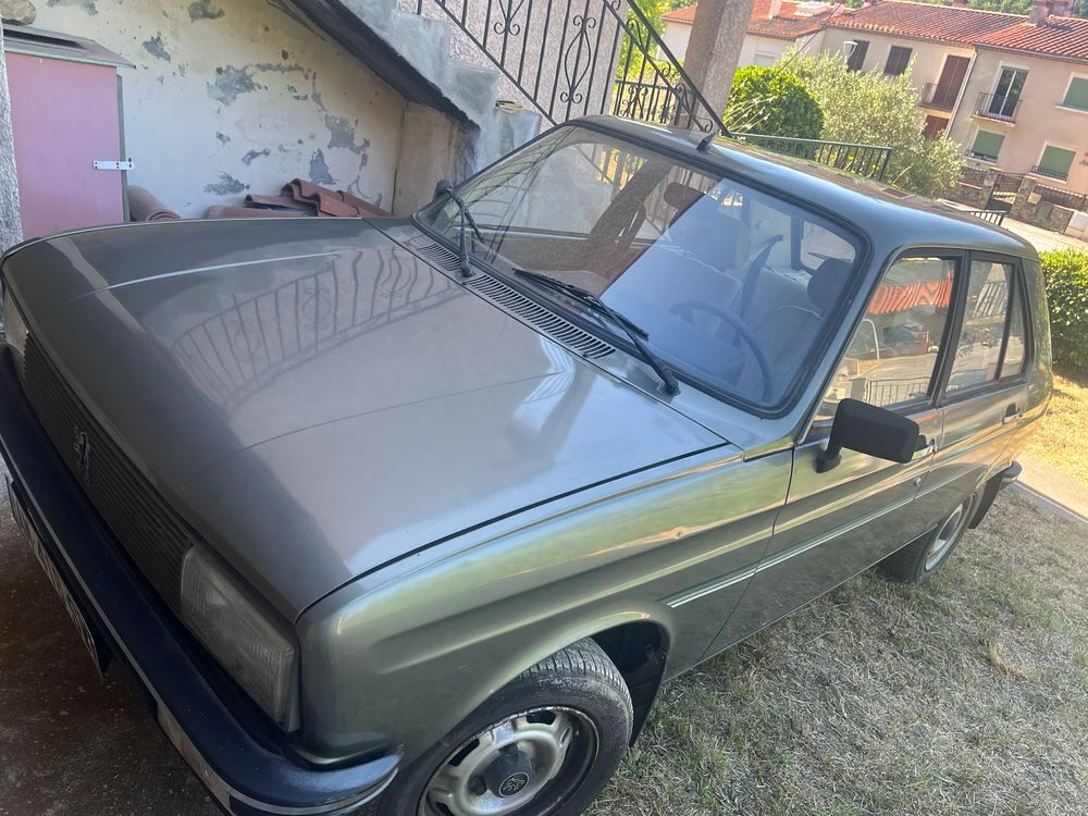 104 GLS 1985 occasion 66260 Saint-Laurent-de-Cerdans