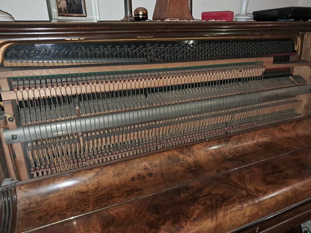 DON Piano Instruments de musique