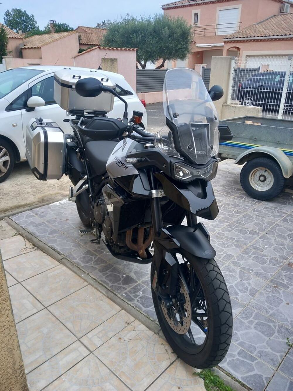 TRIUMPH 2024 occasion 34350 Valras-Plage