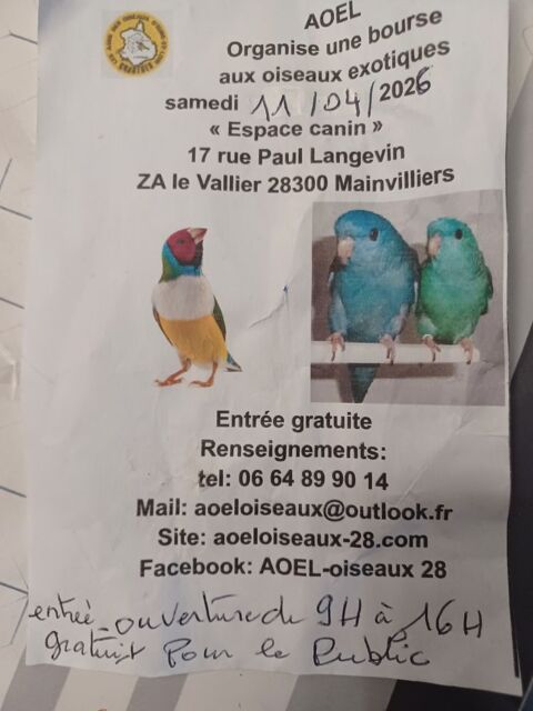 Bourse aux oiseaux 50 28300 Mainvilliers